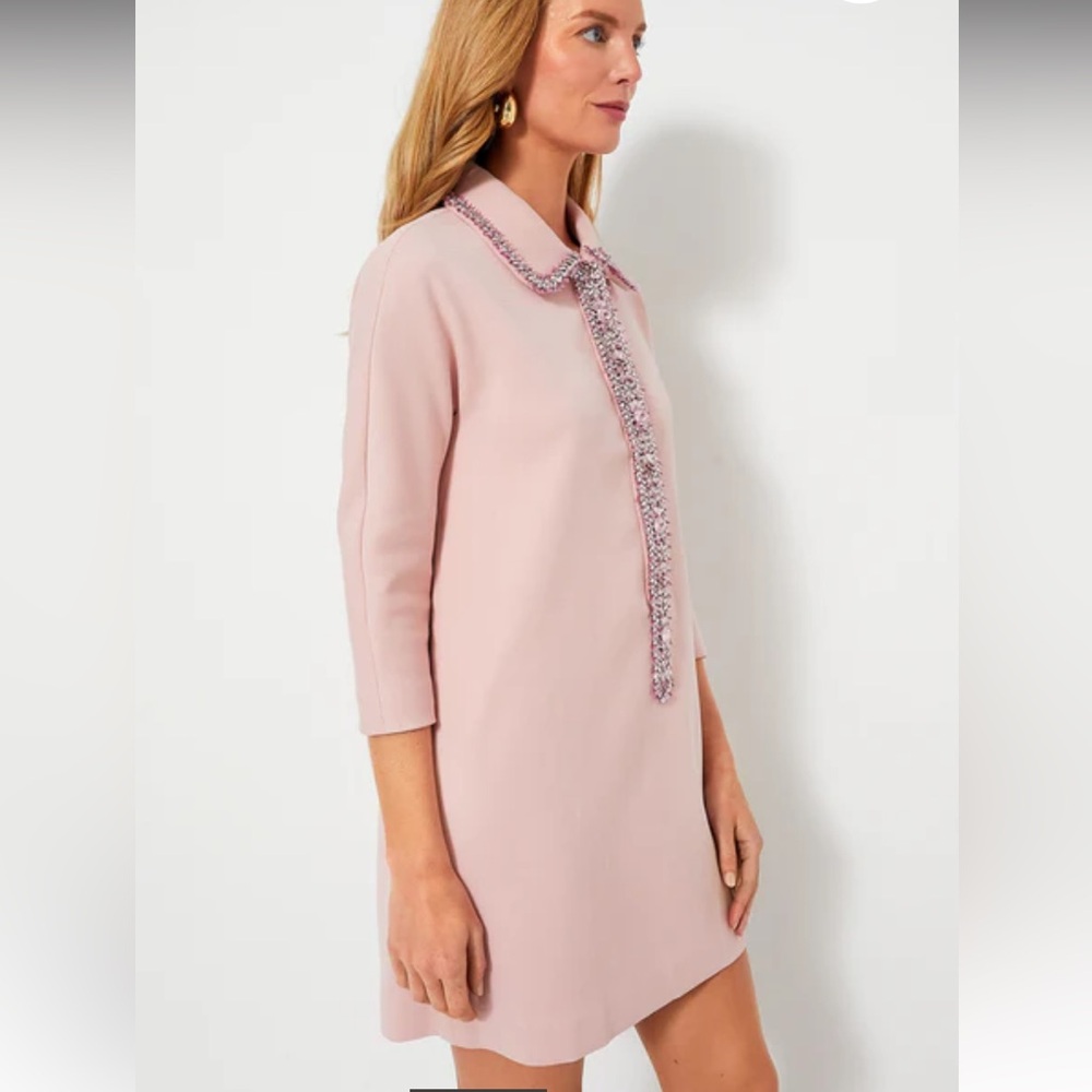 Powder Pink Embellished Nicola Dress - Picture 3 of 12
